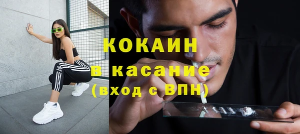 стафф Бородино