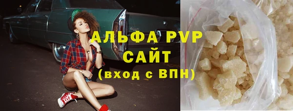 стафф Бородино