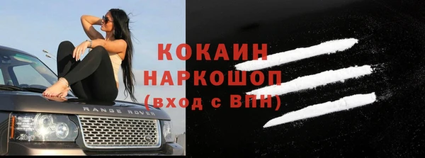 стафф Бородино