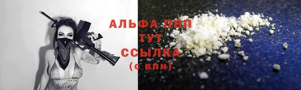 стафф Бородино
