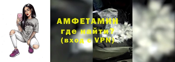 прущие грибы Верхний Тагил