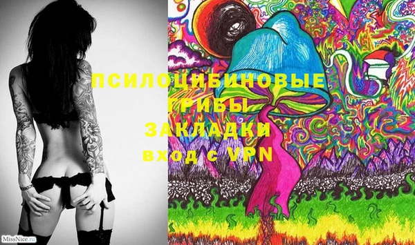 гашик Бронницы
