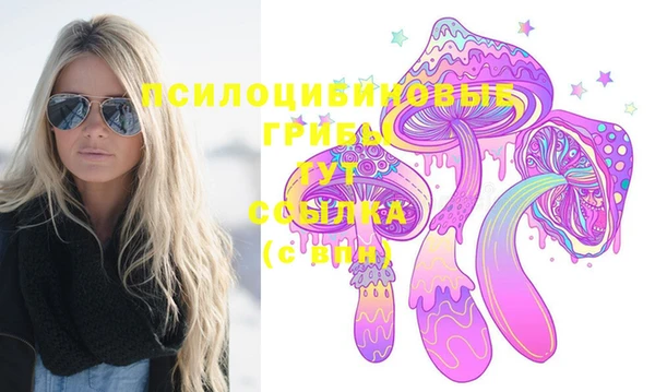 стафф Бородино