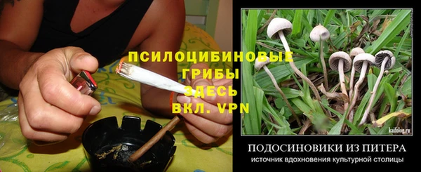 стафф Бородино
