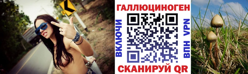 Псилоцибиновые грибы мухоморы  Городище 